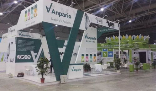 福州专业会展服务全流程解决方案 从策划到执行的一站式体验